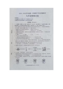 山东省菏泽市成武县2023-2024学年九年级上学期11月期中物理试题