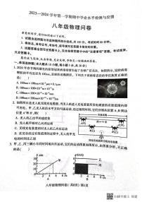 山东省聊城市阳谷县2023-2024学年八年级上学期11月期中物理试题