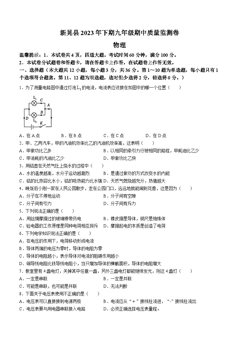 湖南省怀化市新晃侗族自治县2023-2024学年九年级上学期11月期中物理试题01