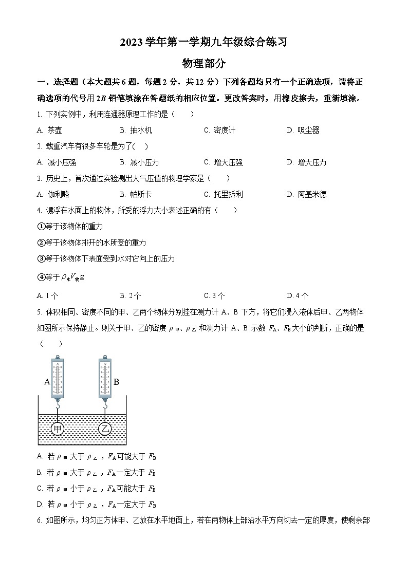 上海市罗星中学2023-2024学年九年级上学期期中考试物理试题第1页