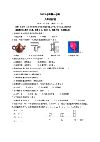 上海市世外中学2023－2024学年上学期九年级9月月考物理试卷