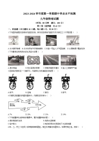 山东省聊城市莘县2023-2024学年九年级上学期11月期中物理试题