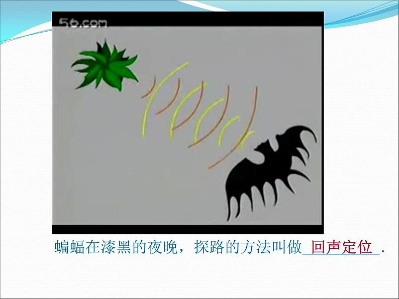 2.3《声的利用》PPT课件5-八年级物理上册【人教版】第4页