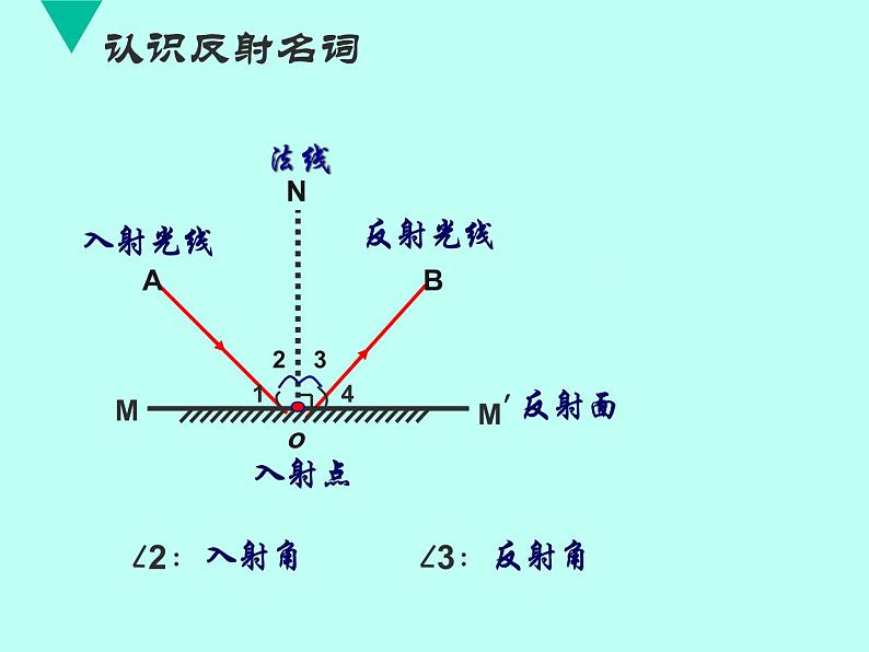 4.2《光的反射》PPT课件2-八年级物理上册【人教版】第4页
