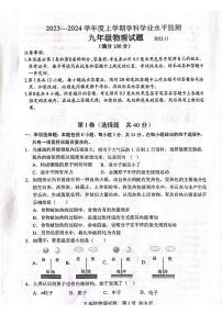 山东省日照市五莲县2023—-2024学年九年级上学期11月期中物理试题