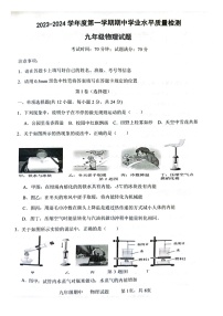 山东省菏泽市单县2023-2024学年九年级上学期11月期中物理试题