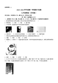 陕西省渭南市临渭区2023-2024学年九年级上学期期中考试物理试题