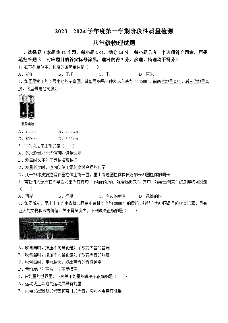 山东省菏泽市鄄城县2023-2024学年八年级上学期11月期中物理试题第1页