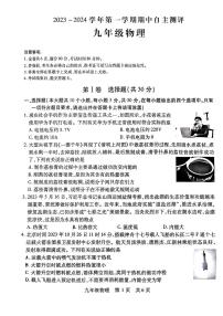 山西省运城市盐湖区2023-2024学年九年级上学期期中自主测试物理试卷