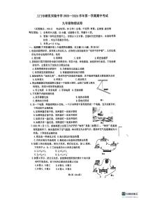 福建省厦门湖里实验中学2023-2024学年九年级上学期期中考试物理试卷