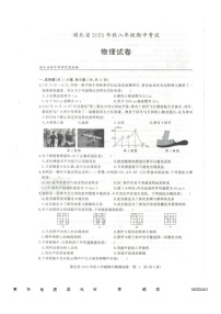湖北省黄石市阳新县2023-2024学年八年级上学期11月期中物理试题
