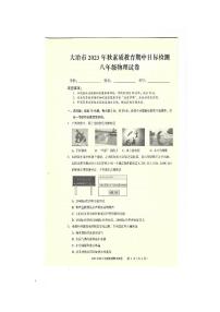 湖北省大冶市2023-2024学年八年级上学期期中目标检测物理试题