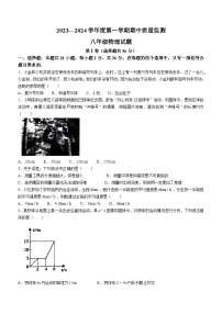 山东省枣庄市峄城区2023-2024学年八年级上学期物理期中质量检测试题(无答案)