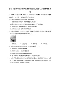 辽宁省大连市普兰店区2023-2024学年九年级上学期期中物理试卷