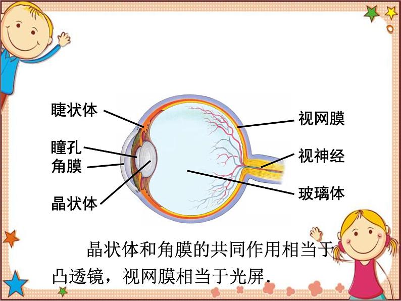 沪教版物理八年级全一册 第4章  多彩的光第6节  神奇的眼睛-课件第3页