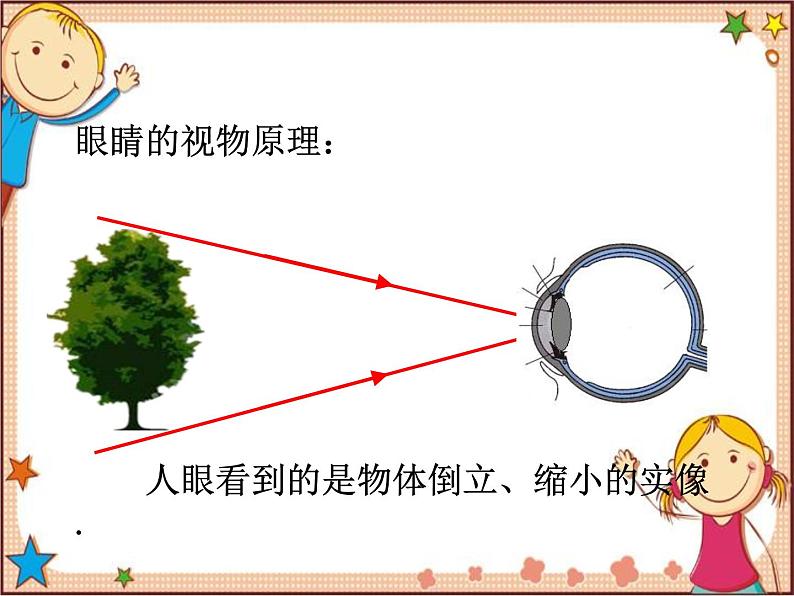 沪教版物理八年级全一册 第4章  多彩的光第6节  神奇的眼睛-课件第4页