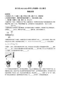 河南省洛阳市洛宁县2023-2024学年九年级上学期11月期中物理试题