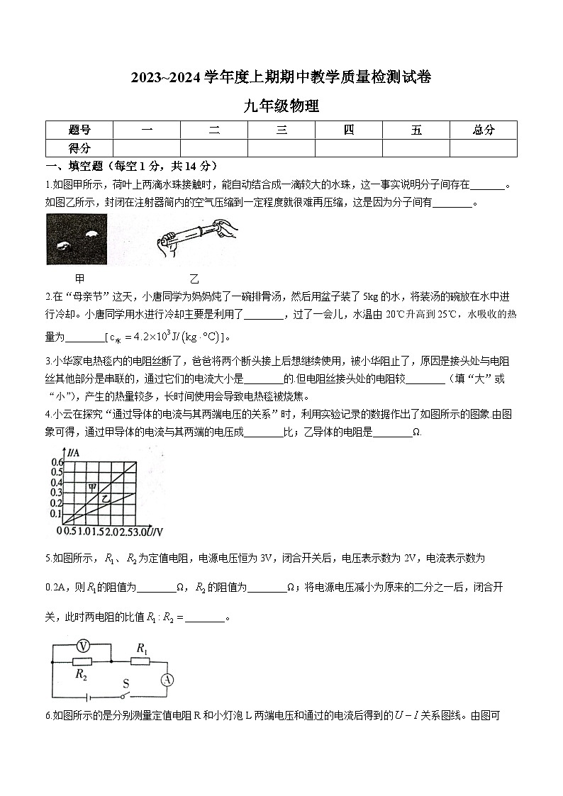 河南省漯河市郾城区2023-2024学年九年级上学期11月期中物理试题01