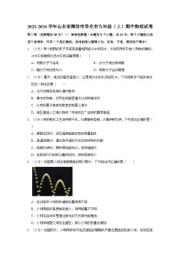 山东省潍坊市寿光市2023-2024学年九年级上学期期中物理试卷