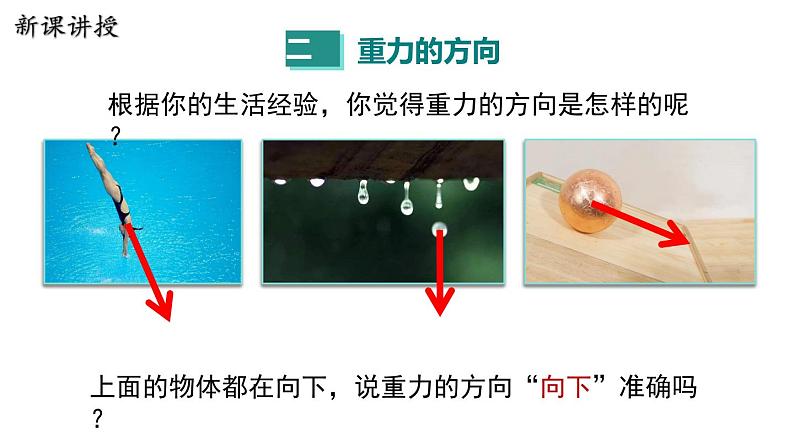 6.3 重力 课件 2023-2024学年粤沪版八年级物理下册07