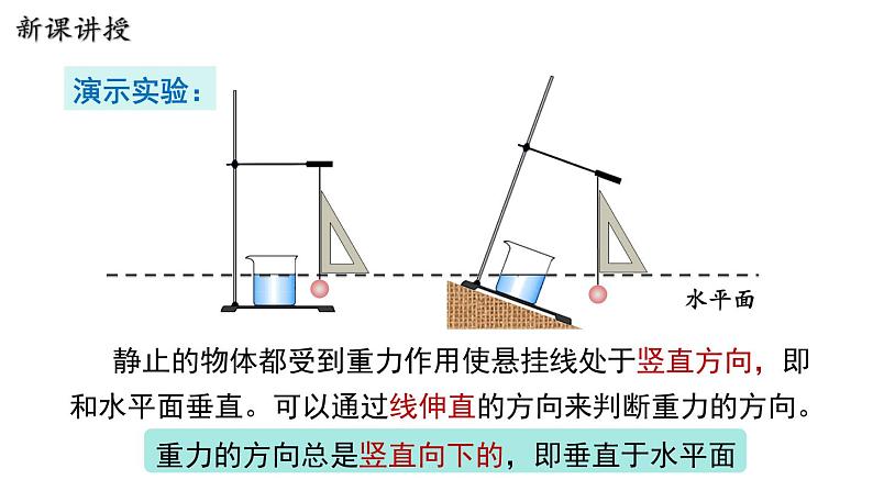 6.3 重力 课件 2023-2024学年粤沪版八年级物理下册08