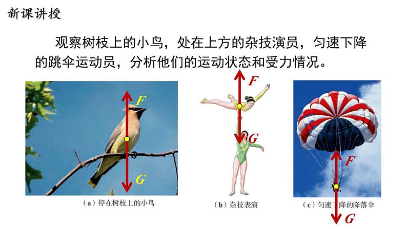 7.4  探究物体受力时怎样运动第5页