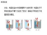 9.3 研究物体的浮沉条件 课件 2023-2024学年粤沪版八年级物理下册