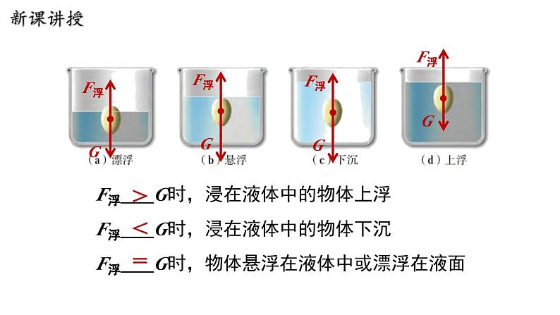 9.3 研究物体的浮沉条件第6页