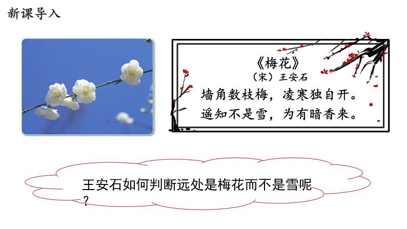 10.1 认识分子 课件 2023-2024学年粤沪版八年级物理下册03