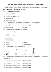 湖南省怀化市新晃县2023-2024学年八年级上学期期中物理试卷