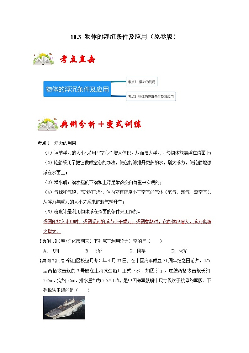 人教版八年级物理下册 10.3《 物体的浮沉条件及应用》专题训练（原卷版）01