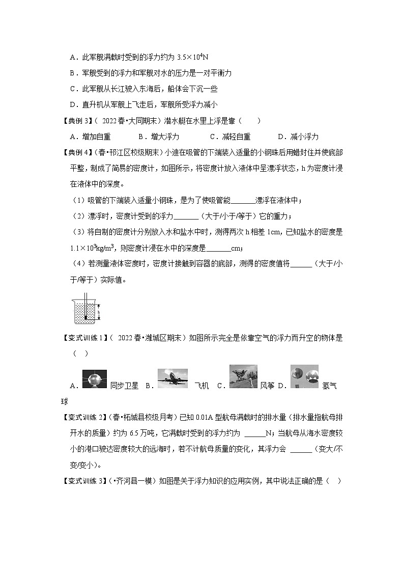 人教版八年级物理下册 10.3《 物体的浮沉条件及应用》专题训练（原卷版）02