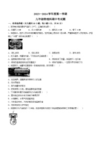 海南省文昌市2023-2024学年九年级上学期期中考试物理试题