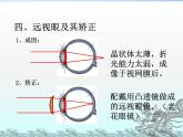 北师大版物理八年级下册 6.4 眼睛和眼镜_ 课件