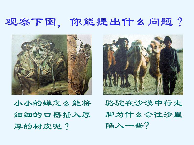 北师大版物理八年级下册 8.1 压强_(1) 课件02