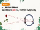 沪粤版物理八年级上册 3.7 眼睛与光学仪器课件
