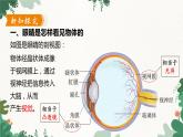 滬粵版物理八年級上冊 3.7 眼睛與光學儀器課件