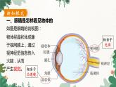 沪粤版物理八年级上册 3.7 眼睛与光学仪器课件