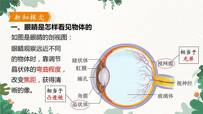 沪粤版物理八年级上册 3.7 眼睛与光学仪器课件05