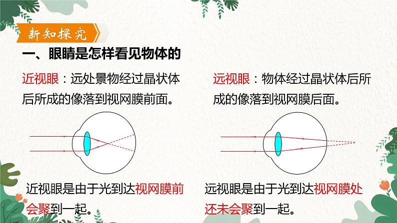 沪粤版物理八年级上册 3.7 眼睛与光学仪器课件06