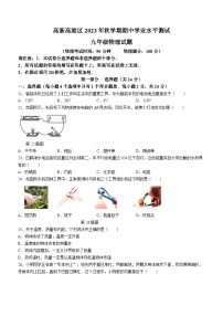 江苏省泰州市高港区等2地2023-2024学年九年级上学期11月期中物理试题