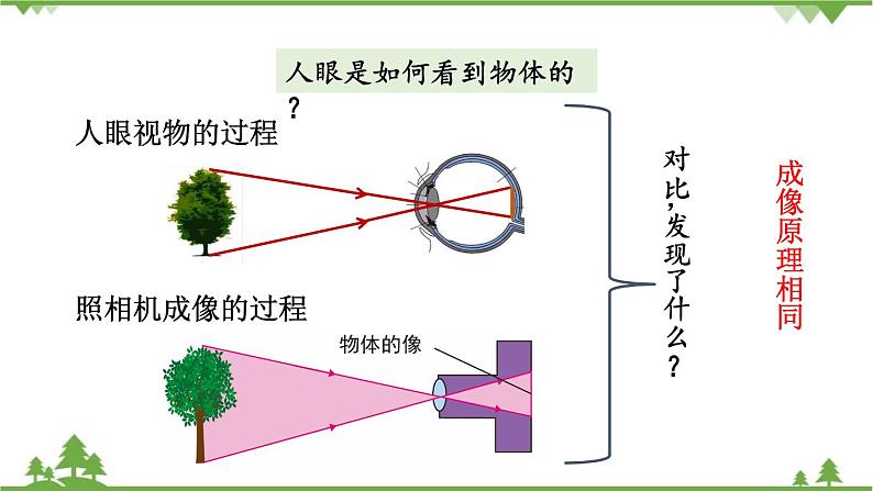 人教版物理八年级上册 第五章  第4节  眼睛和眼镜课件第6页