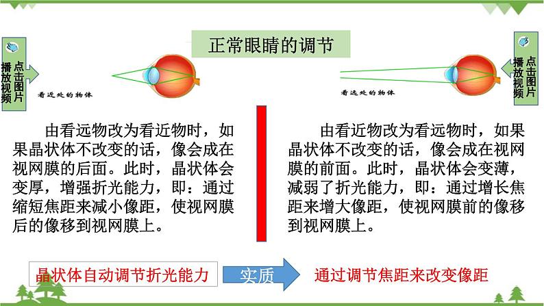 人教版物理八年级上册 第五章  第4节  眼睛和眼镜课件第8页