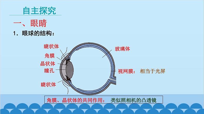 教科版物理八年级上册 第四章 在光的世界里 6.神奇的眼睛 课件07