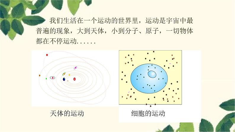 沪教版物理八年级上册 第二章  运动的世界1.第一节  动与静 课件第6页