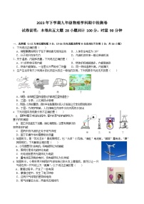 湖南省衡阳市外国语学校2023-2024学年九年级上学期期中物理试卷