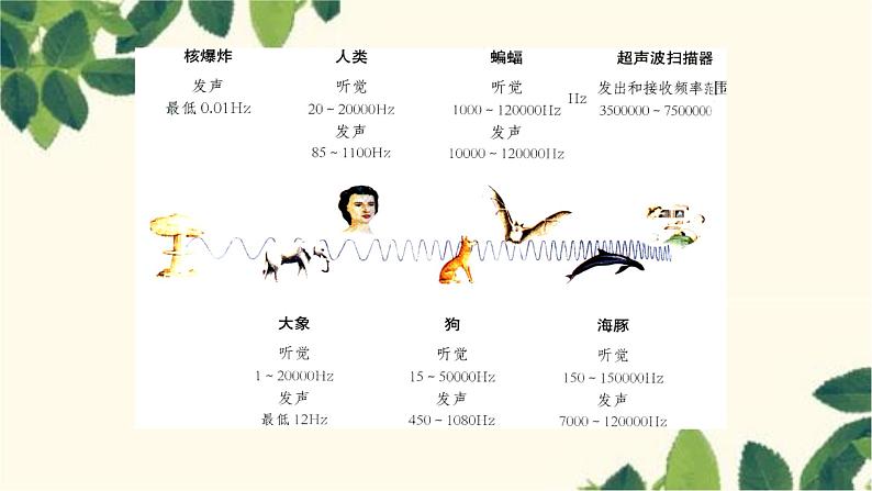 沪教版物理八年级上册 第三章  声的世界3.第三节  超声与次声 课件07