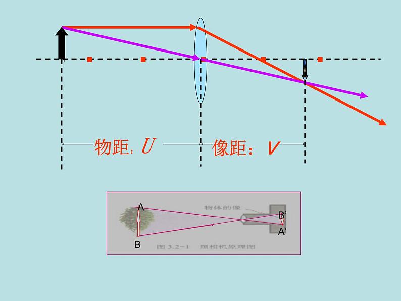 教科版物理八年级上册4.6神奇的眼睛课件03