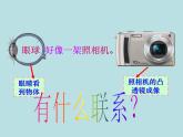 教科版物理八年级上册4.6神奇的眼睛课件