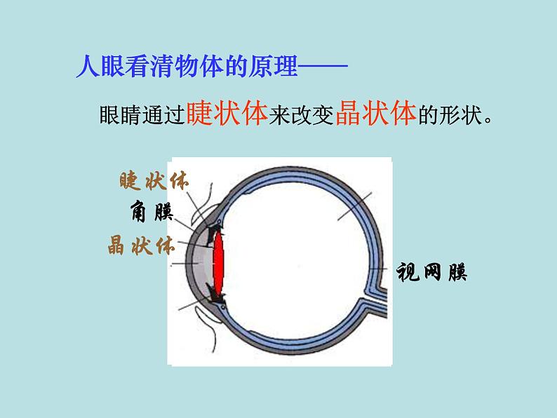 教科版物理八年级上册4.6神奇的眼睛课件08
